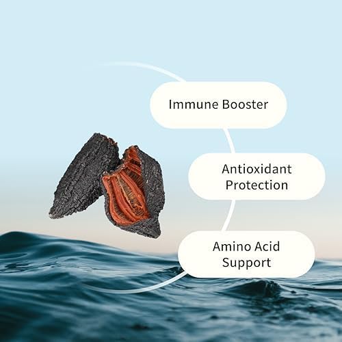 Wild Sea Cucumber Supplement Capsules Antioxidant Healthy Energy Supplement with Fucosylated Chondroitin Sulfate Collagen Glycosides Vitamins Minerals(Pack of 6)