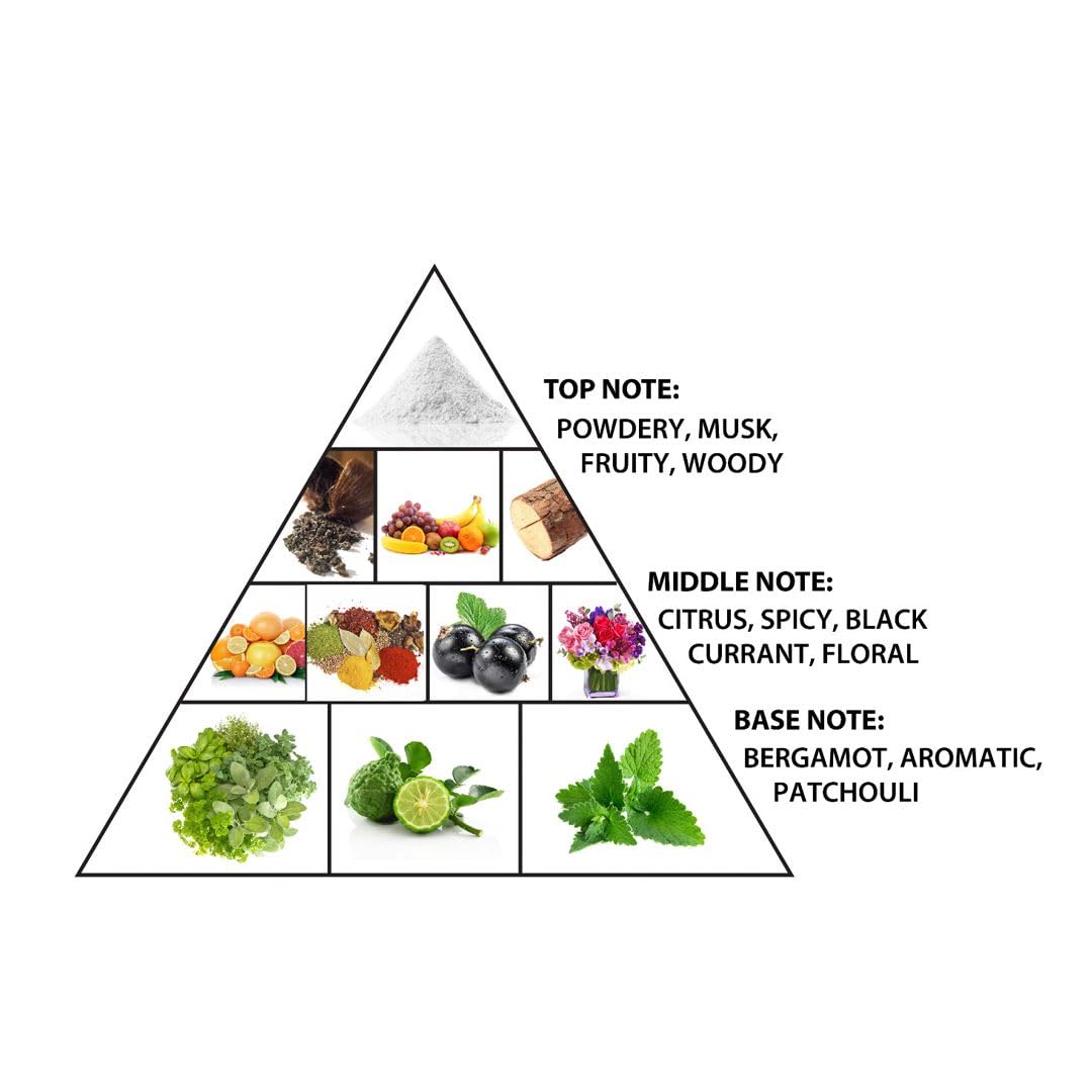 Al Haramain Emotion Antique - Perfume for Women and Cologne for Men - Long-Lasting Fragrance with Woody Notes - 3.33 oz Extrait De Parfum Spray