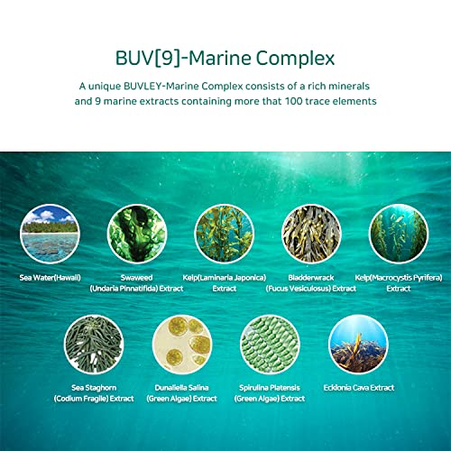 Pure Oil Cleansing Balm I Low pH, Vegan, Cruelty Free | Daily Makeup Remover Calming and Hydrating Facial Cleanser