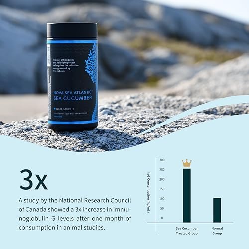 Wild Sea Cucumber Supplement Capsules Antioxidant Healthy Energy Supplement with Fucosylated Chondroitin Sulfate Collagen Glycosides Vitamins Minerals(Pack of 6)