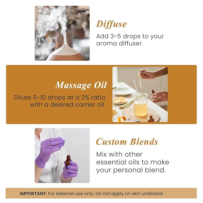 Handcraft Blends Cinnamon Essential Oil - Huge 4 Fl Oz - 100% Pure and Natural - Premium Grade Essential Oil for Diffuser and Aromatherapy