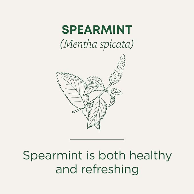 Traditional Medicinals Tea, Organic Spearmint, Supports Everyday Wellness, Healthy & Refreshing, 48 Tea Bags (3 Pack)