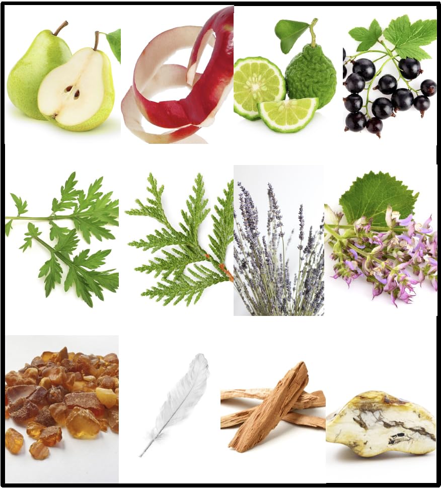 FILA Fresh Eau de Parfum for Men - EDP for the Active Man - Amber Fougere with Notes of Bergamot, Sage and Vetiver - Iconic, Refreshing Scent for Day or Night - 3.4 oz