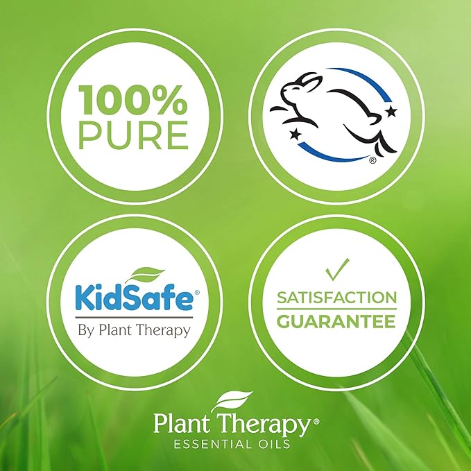Plant Therapy Black Spruce Essential Oil 10 mL (1/3 oz) 100% Pure, Undiluted, Therapeutic Grade