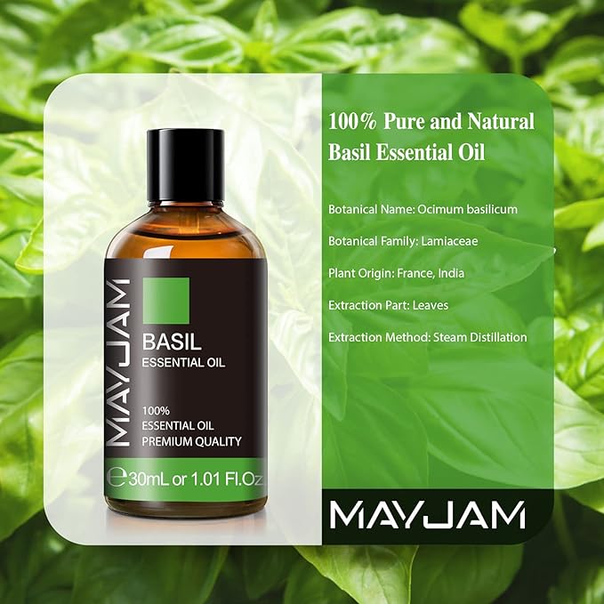 Basil Essential Oil 30ML, Pure Essential Oils for Massage, Diffusers, Basil Oil for Soap Candle Making (1.01FL.OZ Bottle)
