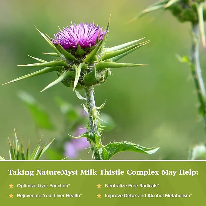Milk Thistle Complex, 4-in-1 Liver Support, 30:1 Milk 80% Silymarin, 60 Vegetarian