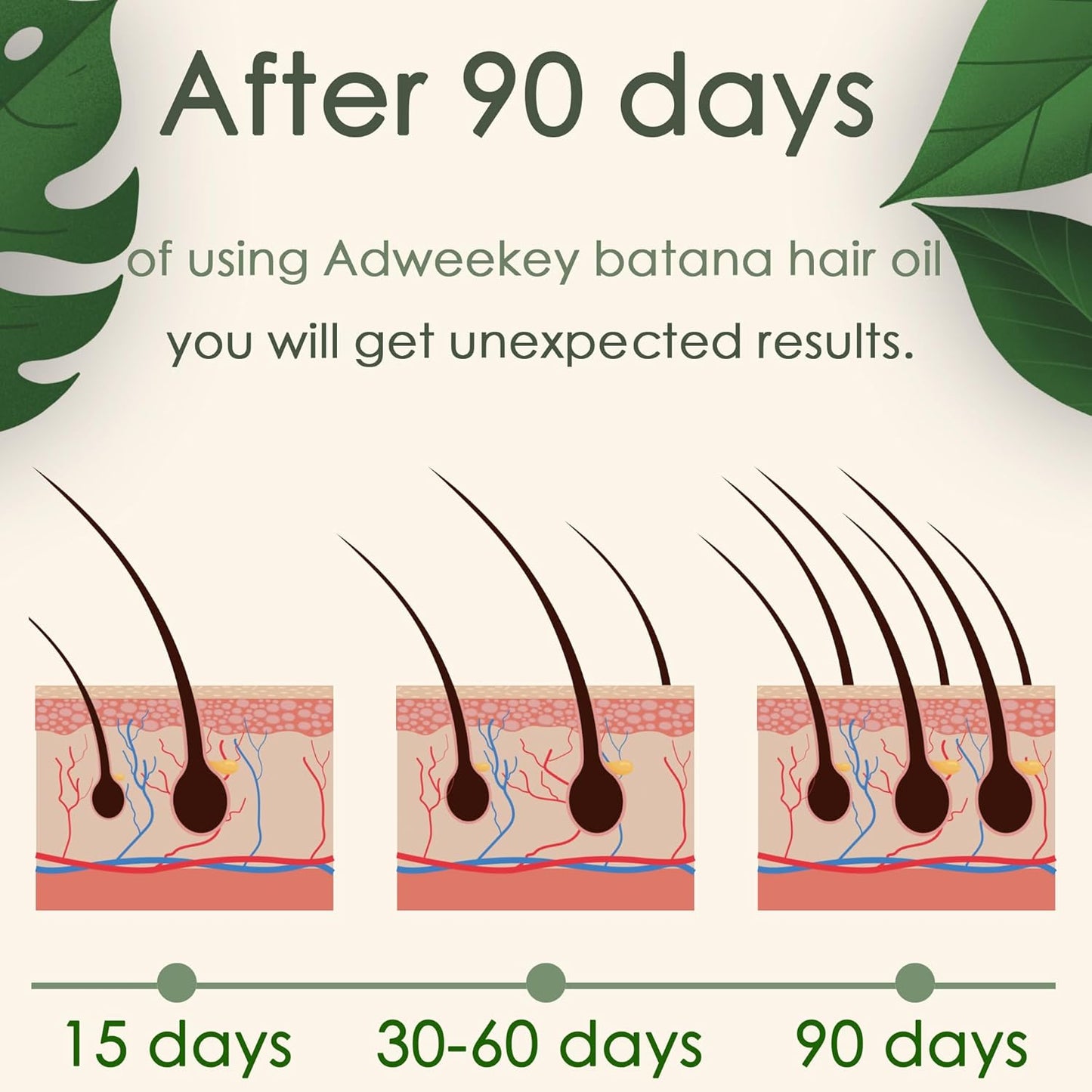 Organic Batana Oil for Hair Growth, 100% Pure , Promotes Hair Wellness for Men & Women, Enhances Hair & Skin Radiance (2.0 Oz)