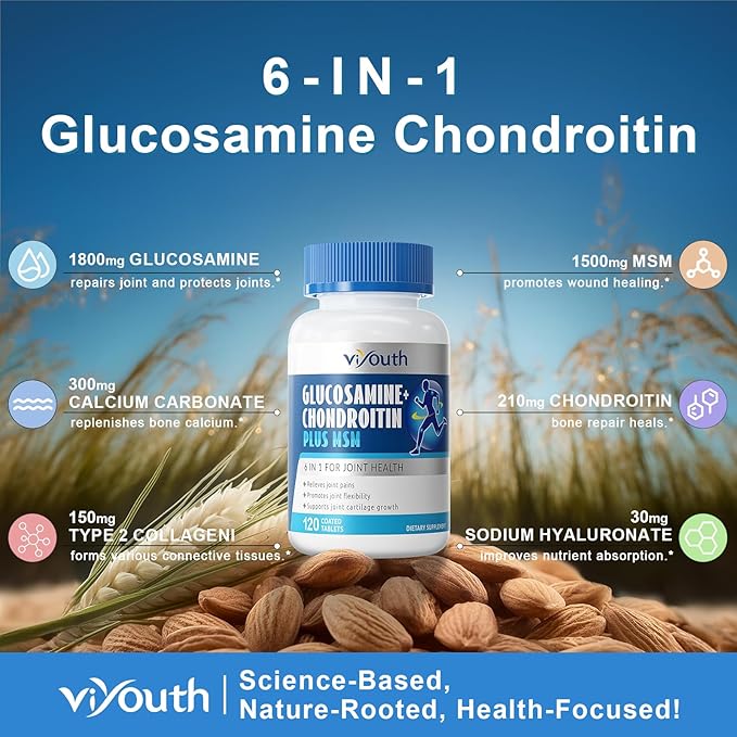 Glucosamine Chondroitin MSM, Glucosamine Sulfate Type 2 Collagen 120 Count