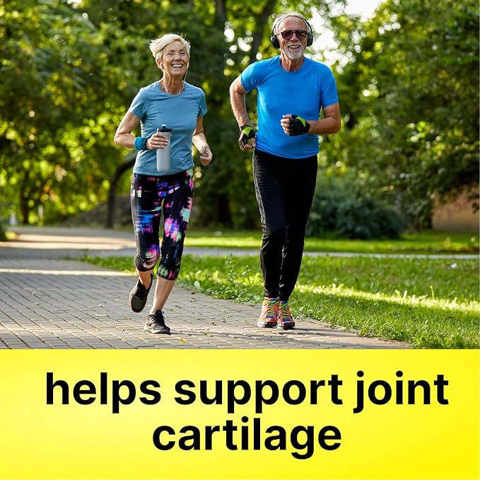 glucosamine + Collagen + chondroitin +