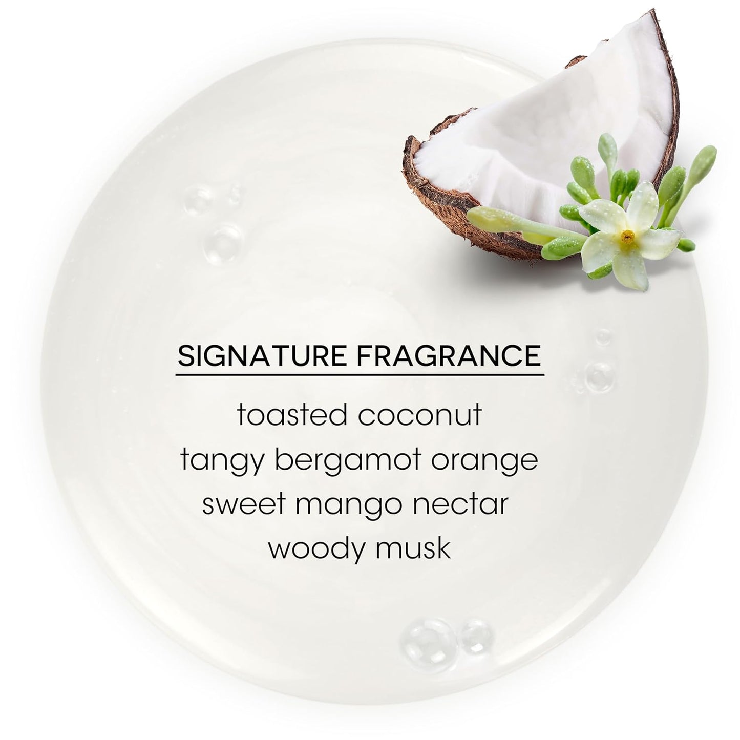 Bain de Terre Ultra Hydrating Shampoo and Conditioner Set | Coconut Papaya | Hydrates Overly Dry | Damaged Hair | Paraben Free | Color-Safe | 13.5 Fl Oz