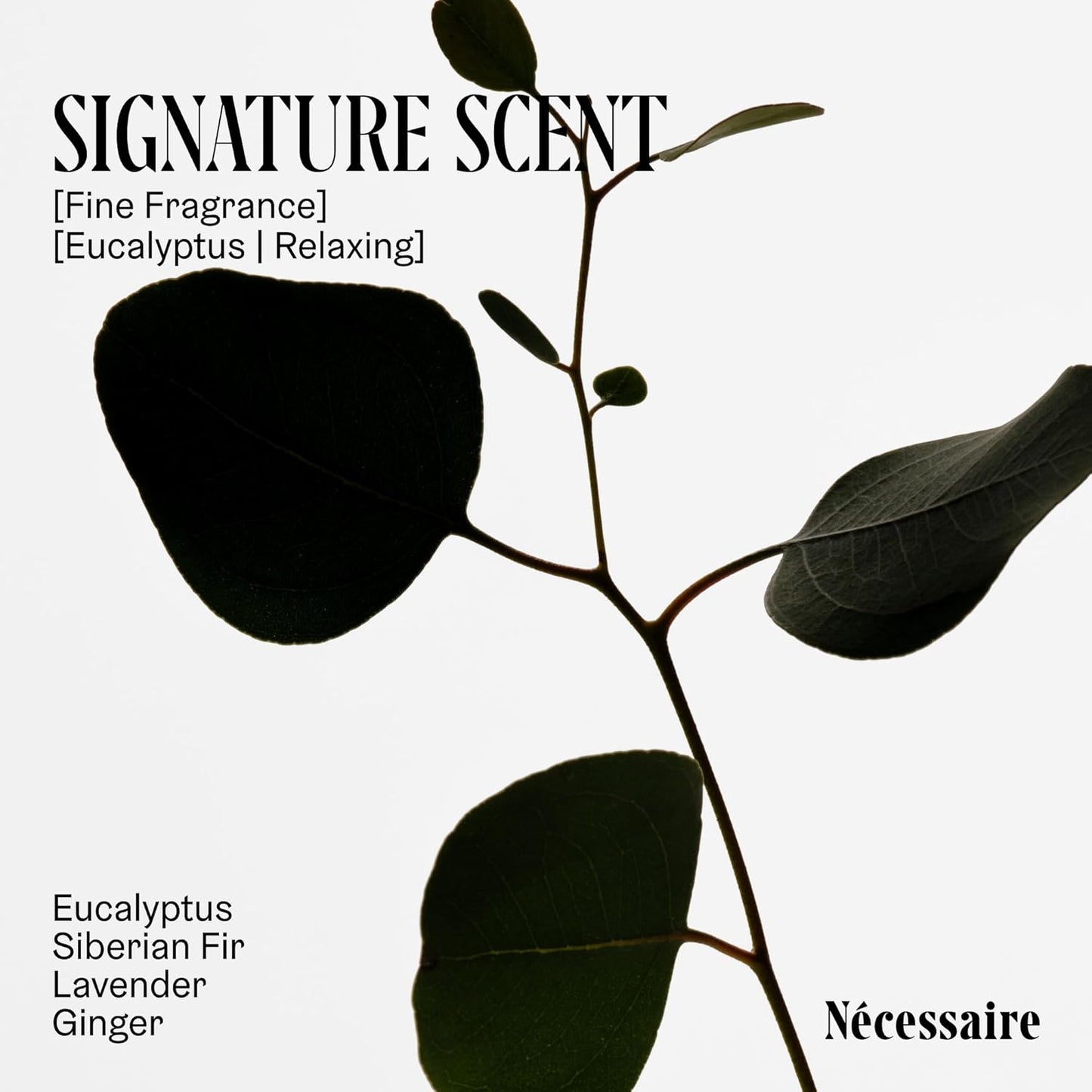 Nécessaire Eucalyptus Body Essentials Gift Set – Travel-Size Body Wash, Body Lotion + Deodorant | For Women + Men | Dermatologist-Tested. Hypoallergenic. Vegan | Aluminum-Free Deodorant