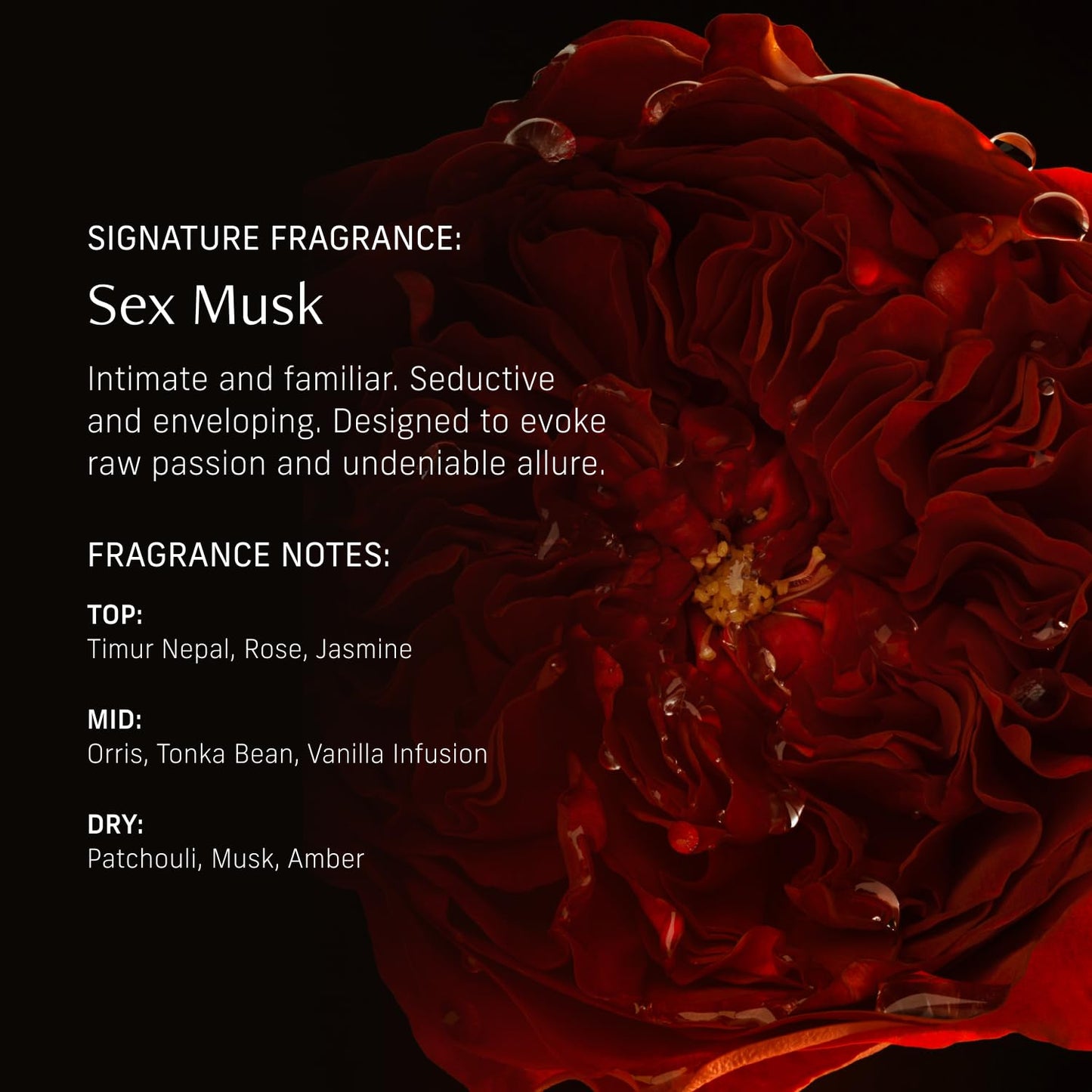 CYKLAR Perfume Oil Roll-On. Travel-Friendly Sex Musk Fragrance with Rose, Tonka Bean, and Musk Notes. Long-Lasting Essential Oil Parfum for Women and Men. 0.5 Fl Oz Scented Rollerball Bottle