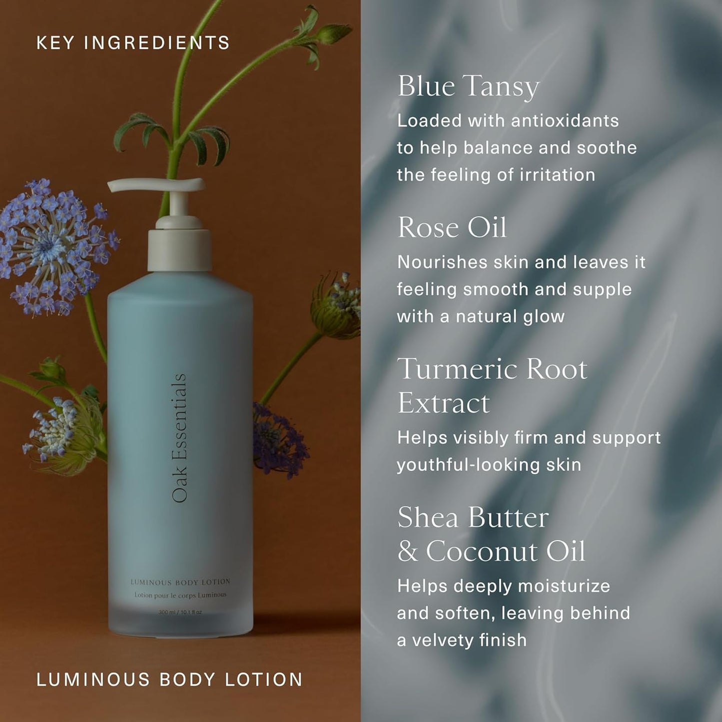 Oak Essentials Luminous Body Lotion | Hydrating Blue Tansy Body Cream with Rose Oil, Turmeric, Shea Butter and Coconut Oil, 1.33 Fl Oz (Travel Size)
