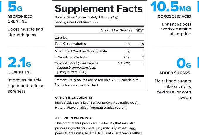 LEGION Recharge Post Workout Supplement - All Natural Muscle Builder & Recovery Drink with Creatine Monohydrate. Naturally Sweetened & Flavored, Safe & Healthy. 60 Servings. (Watermelon, 60 Servings)