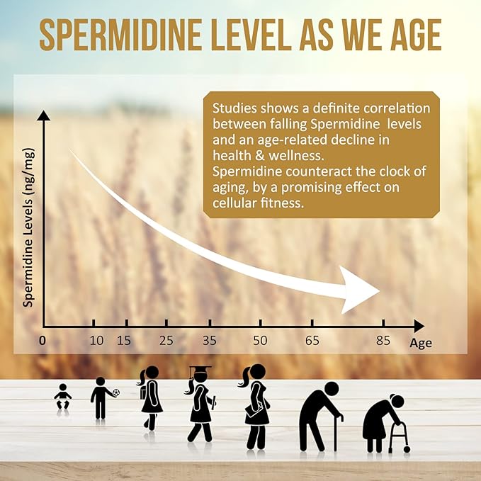 Spermidine Supplements 13mg - 1300mg Wheat Germ Extract Capsules Potent Formula with Higher Spermidine Content and Zinc for Healthy Aging, Daily Immune System and Cell Renewal, 60 Capsules