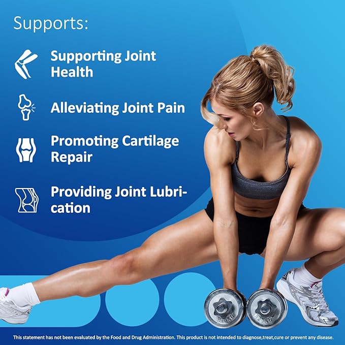 Glucosamine Chondroitin MSM, Glucosamine Sulfate Type 2 Collagen 120 Count