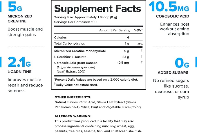 LEGION Recharge Post Workout Supplement - All Natural Muscle Builder & Recovery Drink with Micronized Creatine Monohydrate. Naturally Sweetened & Flavored, Safe & Healthy (Fruit Punch, 30 Serve)
