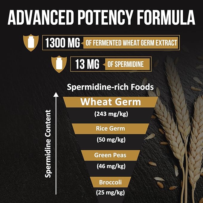 Spermidine Supplements 13mg - 1300mg Wheat Germ Extract Capsules Potent Formula with Higher Spermidine Content and Zinc for Healthy Aging, Daily Immune System and Cell Renewal, 60 Capsules