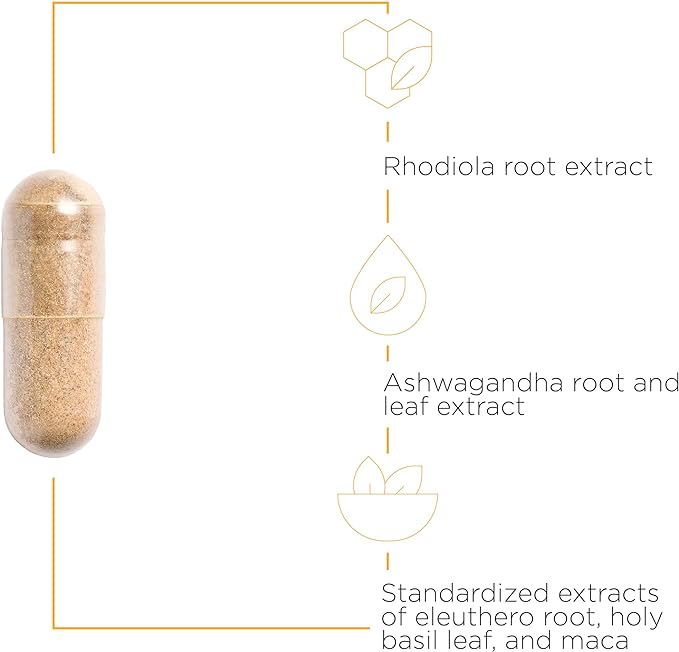 Integrative Therapeutics HPA Adapt - Supports Healthy Stress Response* - with Ashwagandha, Maca, Holy Basil & Rhodiola - Gluten Free - Soy Free - 120 Vegan Capsules - 2 Pack