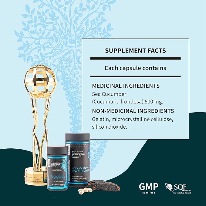 Wild Sea Cucumber Supplement Capsules Antioxidant Healthy Energy Supplement with Fucosylated Chondroitin Sulfate Collagen Glycosides Vitamins Minerals(Pack of 6)