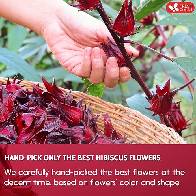 FreshDrinkUS, Premium 140 Hibiscus Flowers Tea Bags, 100% Natural, Handmade, Pure from Hibiscus Flowers. Loose Flower Hibiscus Herbal Tea. Hibiscus Flower Tea. No Sugar/Caffeine/Gluten, Vegan.