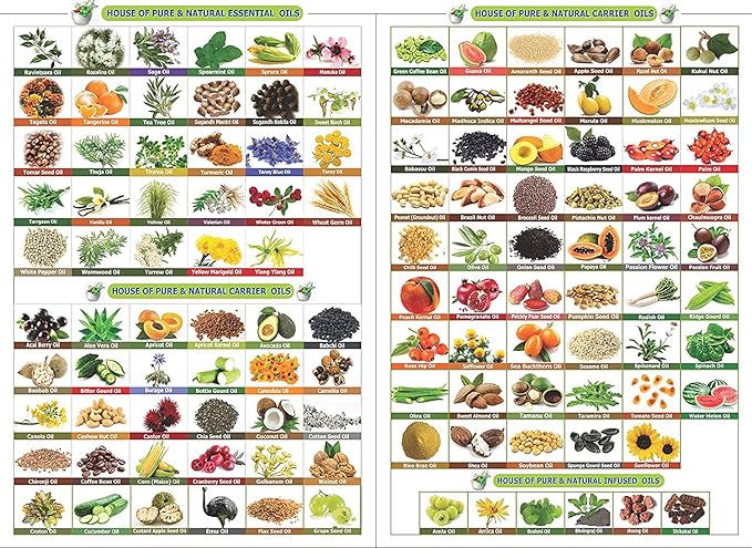 Nirgundi Oil (Vitex negundo) Therapeutic Essential Oil 100% Natural & Pure Undiluted Uncut Cold Pressed Aromatherapy Premium Oil Therapeutic Grade - 50 ML with Dropper