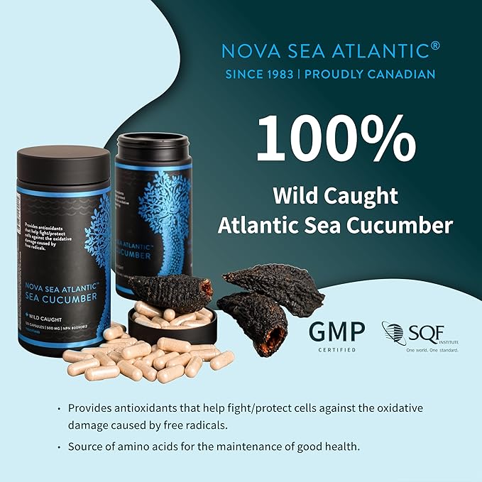 Wild Sea Cucumber Supplement Capsules Antioxidant Healthy Energy Supplement with Fucosylated Chondroitin Sulfate Collagen Glycosides Vitamins Minerals(Pack of 6)