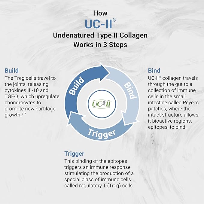 UC-II 40 mg with Hyaluronic Acid and Shea Nut Oil | Enhanced Undenatured Type II Collagen for Better Joint Health, Mobility & Flexibility | Gluten-Free & Non-GMO | 120 Softgels