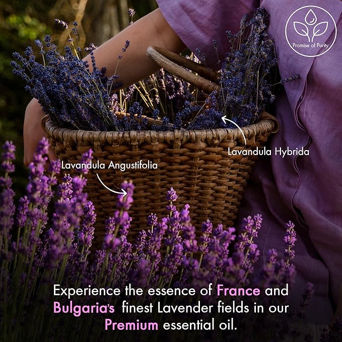 Majestic Pure Lavender Essential Oil | 100% Natural | Premium Grade Essential Oils for Hair Care, Home Diffusers, Skin, Aromatherapy, Massage and Humidifiers | 4 Fl Oz (Pack of 2)