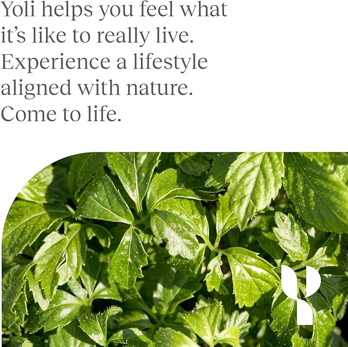 Yoli® Collagen Powder - Multi Collagen Protein Powder with Sodium Hyaluronate - Collagen Supplements for Women and Men - Collagen Types I, II, III, V, and X