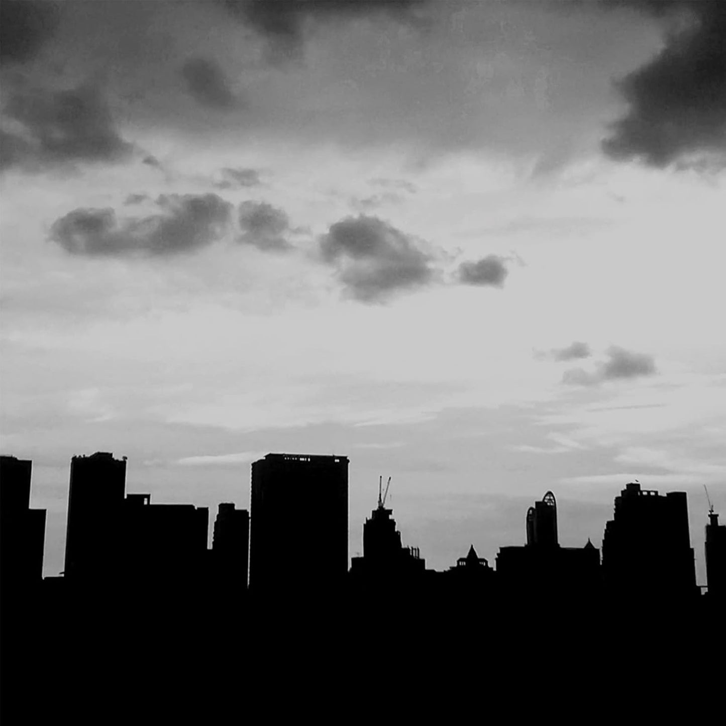 Derek Lam 10 Crosby - Blackout- 1.7 Oz Eau De Parfum - Fragrance Mist For Women - Woody And Floral Scent - Perfume Spray With Milky Osmanthus And Sweet Chai Tea Accords