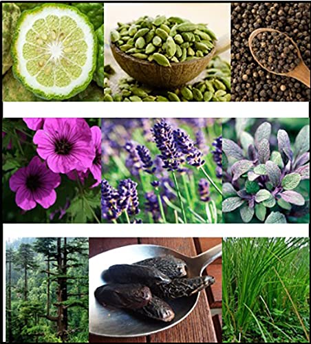 FILA Eau de Toilette for Men - Cool, Clean, Refreshing - A Classic Cologne For Men - Extra Strength, Long Lasting Scent Payoff - Trendy, Rectangular, Streamlined, Portable Bottle Design - 3.4 oz