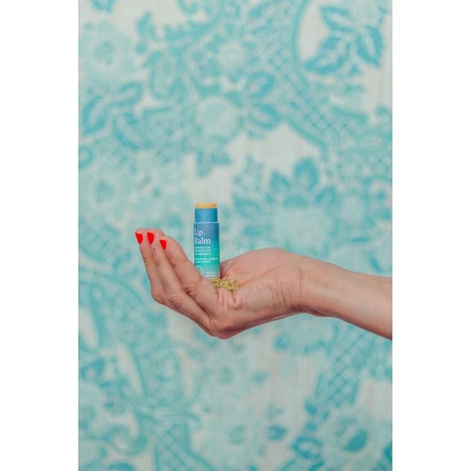 Allez Outdoor Vegan Lip & Eye Balm, Plant-Based Formula with Shea Butter, Jojoba Oil & Algae Extract for Skin Hydration & Protection, Sea Salt/Kelp Scent, 6-Pack