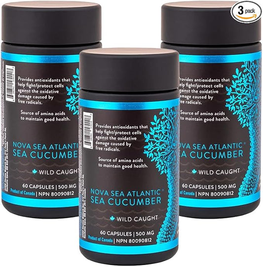 Wild Sea Cucumber Supplement Capsules Antioxidant Healthy Energy Supplement with Fucosylated Chondroitin Sulfate Collagen Glycosides Vitamins Minerals(Pack of 3)