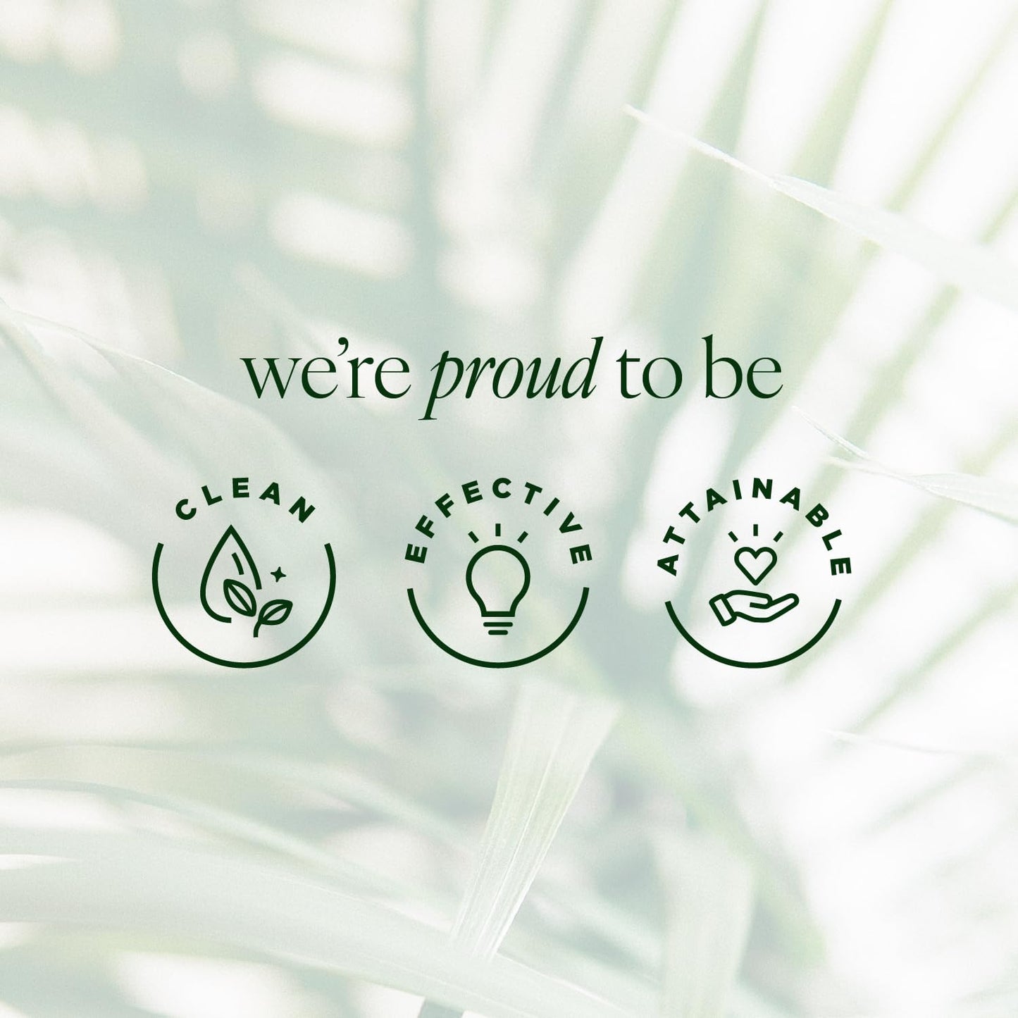 Tree of Life Beauty Ultimate Skin Care Set, Brightening, Firming, Hydrating, Moisturizing, Brightening, Complete Face Care Regimen - Total Vitamin C Face Serum Collection 5pack