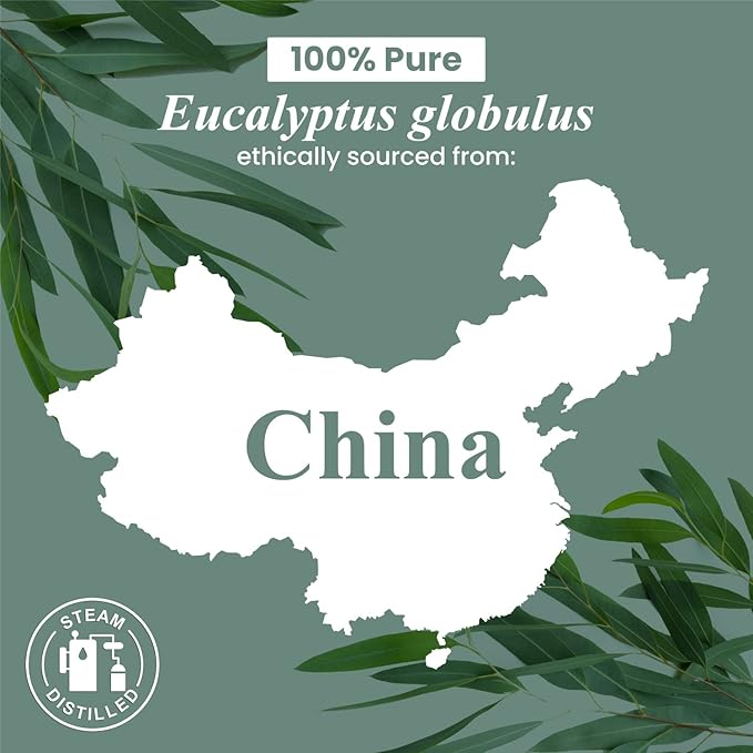 Handcraft Blends Eucalyptus Essential Oil - 0.33 Fl Oz - 100% Pure and Natural - Premium Grade Essential Oil for Diffuser and Aromatherapy