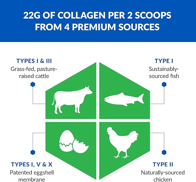 BioTrust Ageless Multi Collagen Peptides Powder – 5 Types (I, II, III, V, X) – Unflavored Collagen Powder for Women & Men – Hydrolyzed Protein – Grass Fed Beef, Fish, Chicken, Eggshell Membrane, 3-pk