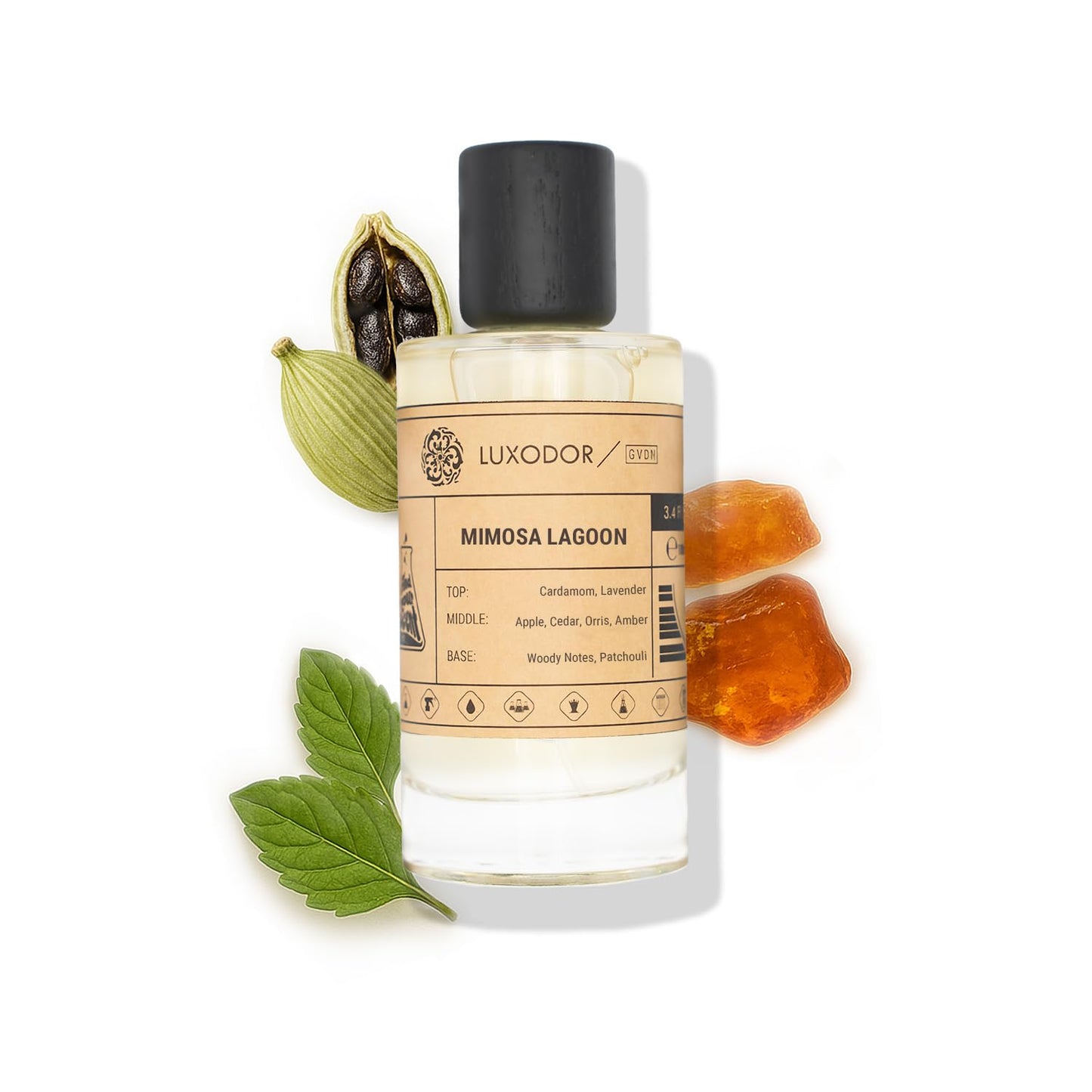 Mimosa Lagoon Inspired by Cha. Coco Mademoiselle, Women Eau De Parfum 100ml with 10ml roll on oil