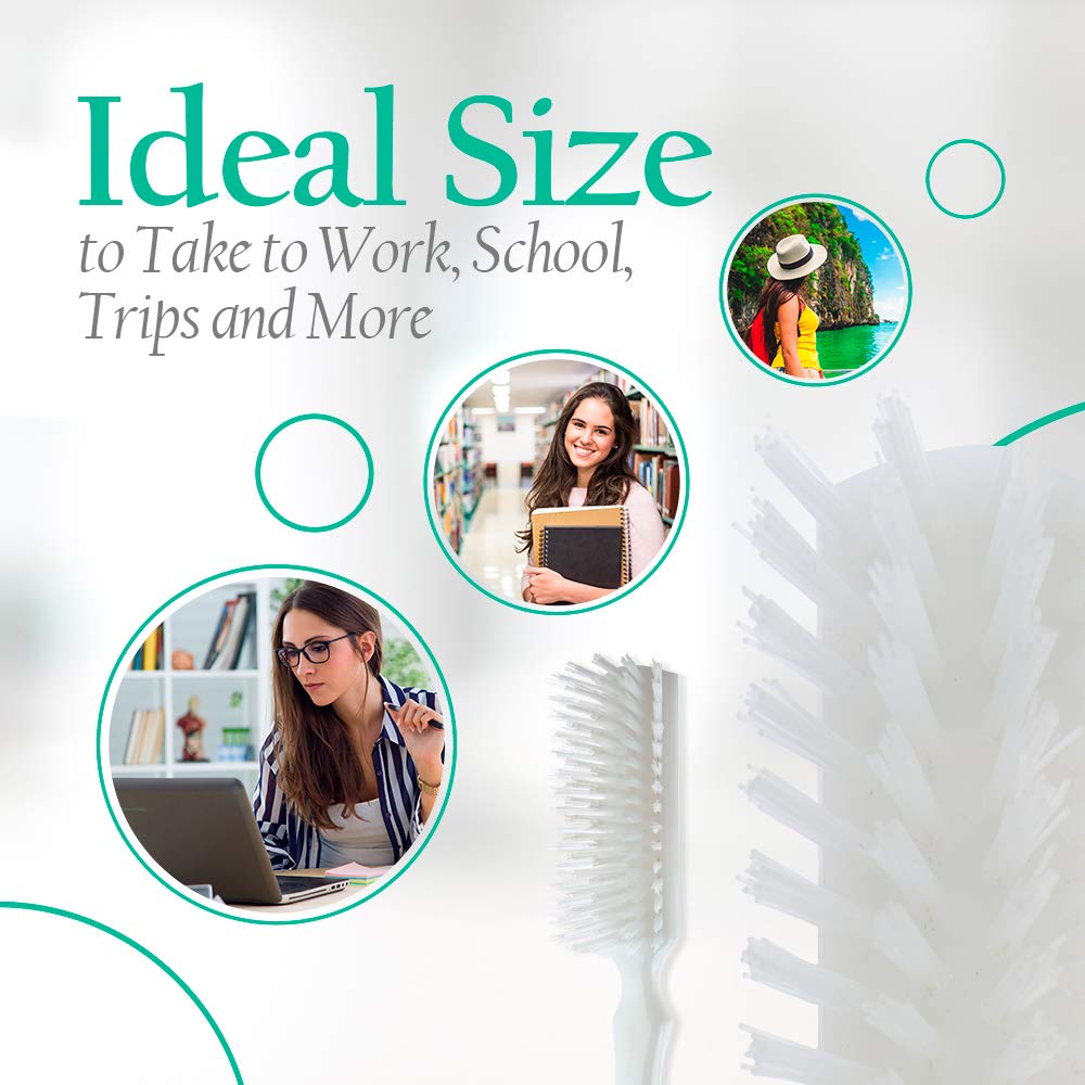 Stanley Home Products Essentials Ladies Hairbrush In Keepsake Gift Box - Durable Nylon Block & Bristles - Premium Quality 5 Row Hair Brush Glider - Designed for All Hair Types