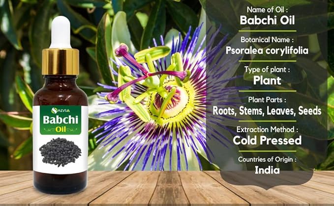 Salvia Babchi Oil (Psoralea Corylifolia) Pure & Natural Undiluted Uncut Cold Pressed Carrier Oil | Use for Aromatherapy | Therapeutic Grade (50 ML with Dropper)