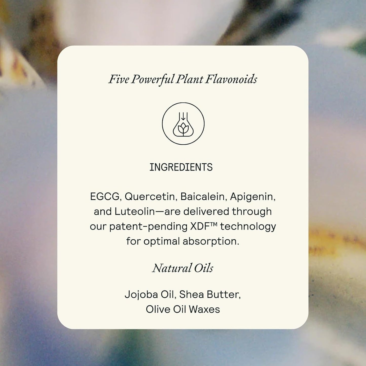 Lip Health Balm - Plant Flavonoid Complex - For Dry, Cracked Lips - Helps Cold Sores - Intense Daily Moisture - Soft, Smooth & Hydrating - Lightweight, Nourishing Formula - 0.17 oz