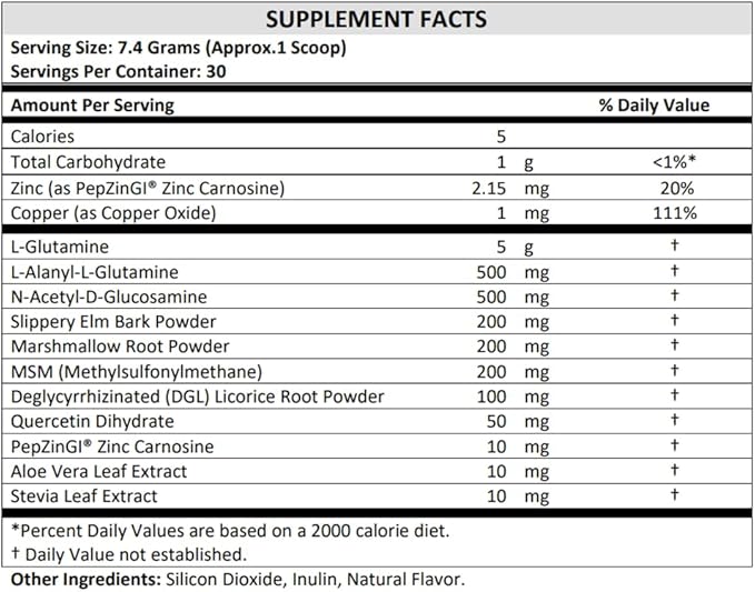 TERRA ORIGIN Healthy Gut Mint Flavor |30-Servings with