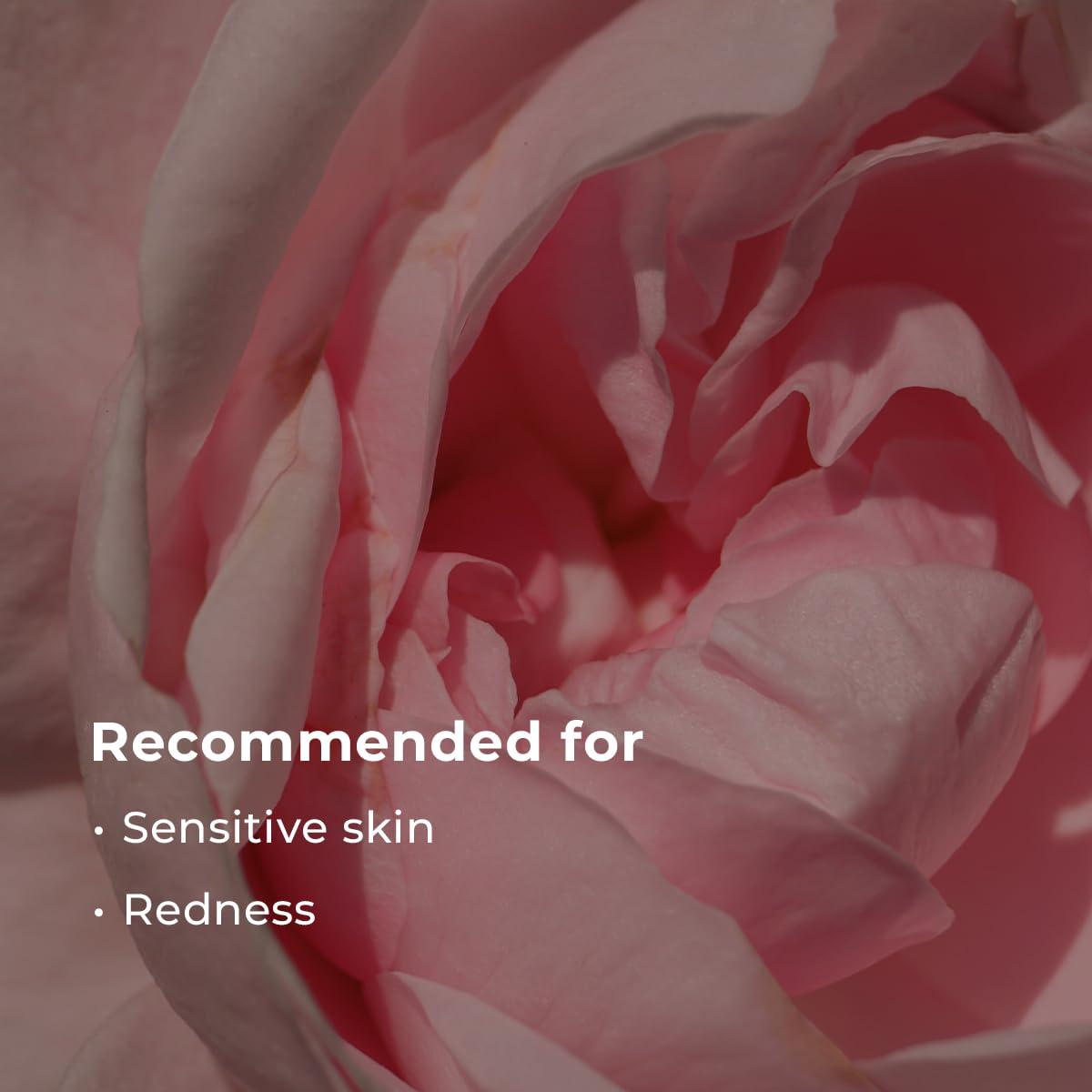 INNA ORGANIC Sheet Mask - Calming & Soothing, EWG & COSMOS Certified (Pack of 5) | Green Tea & Rose Infused Skin Care | Luxury Clean Beauty