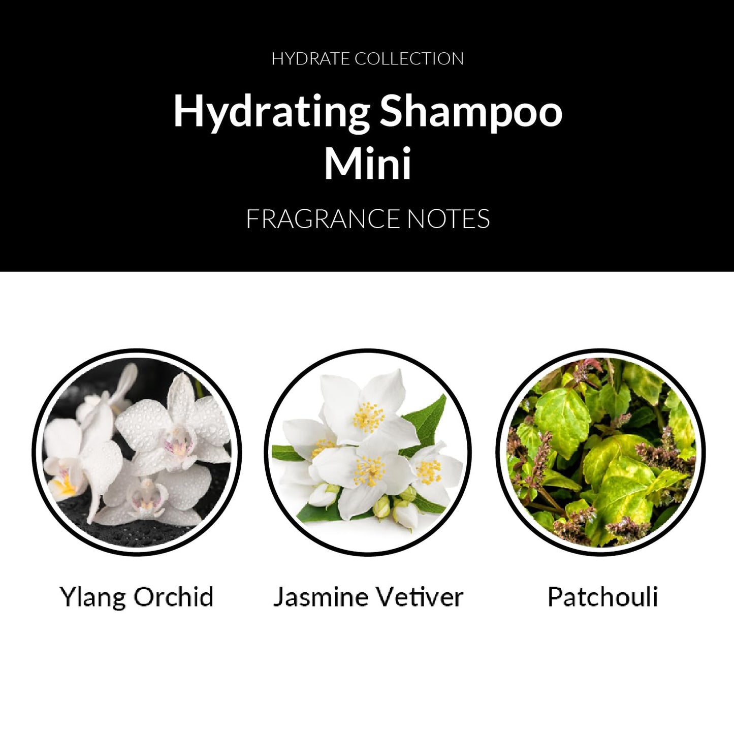 Number 4 Mini Hydrating Shampoo, Travel Size Shampoo for Women and Men. Sulfate, Gluten, & Paraben Free. Moisturizing & Color Protecting, 1.5 oz