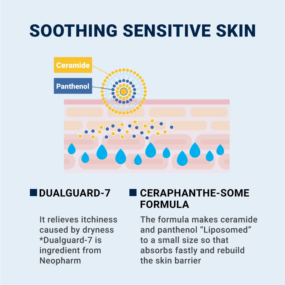 Derma B CeraMD Repair Cream Wash, Unscented Fragrance Free Creamy Face & Body Cleanser for Dry Sensitive Itchy Skin, Deep Moisture Paraben-Free Body Wash, Cream to Foam Cleanser, 13.5 Fl. Oz., 400ml