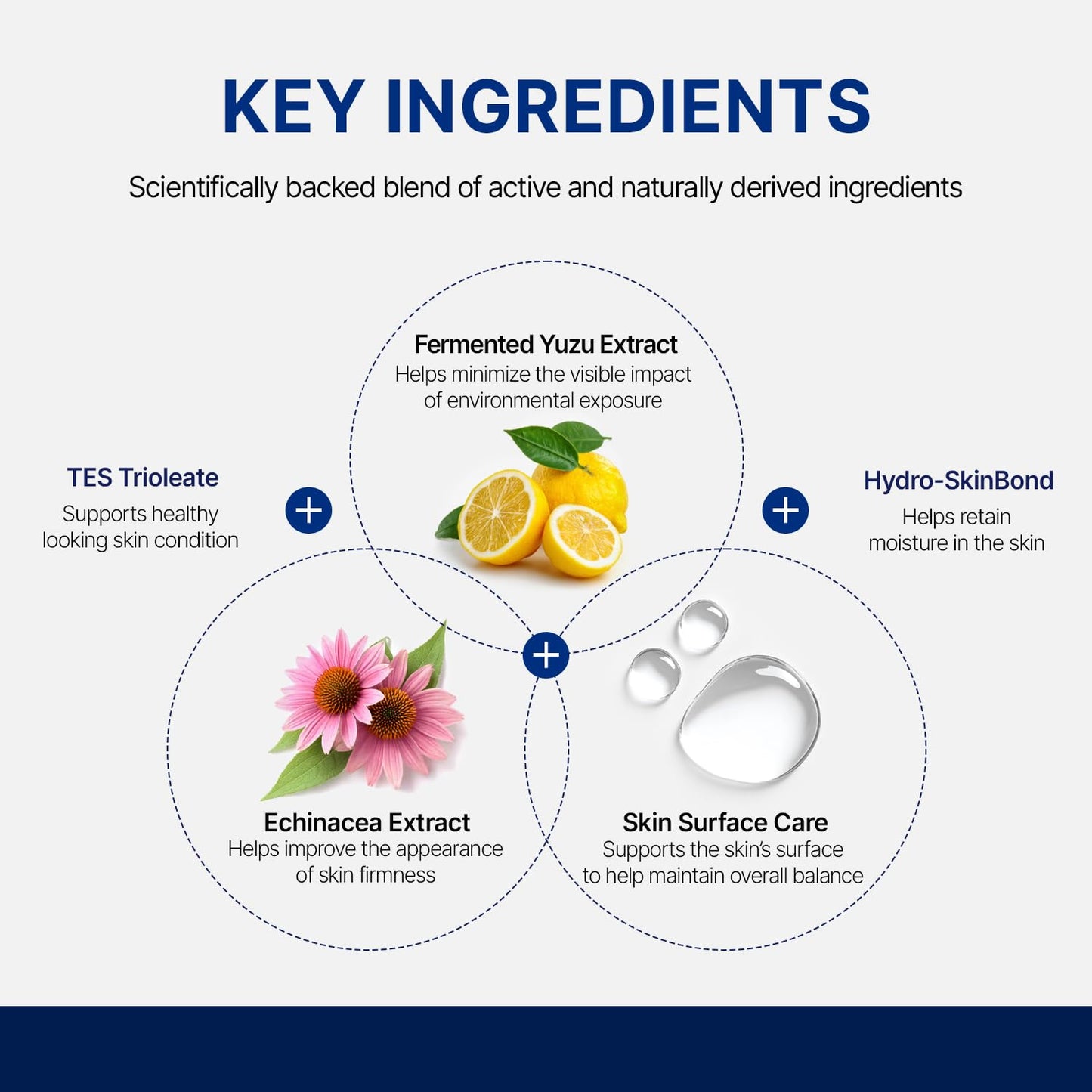 Wrinkle Spot Treatment Serum - Korean Skincare Anti-Wrinkle Brightening Serum with Peptides and Fermented Extracts for Glass Skin, Radiance & Hydration Support (15ml / 0.5 fl. oz)