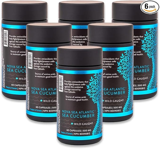 Wild Sea Cucumber Supplement Capsules Antioxidant Healthy Energy Supplement with Fucosylated Chondroitin Sulfate Collagen Glycosides Vitamins Minerals(Pack of 6)
