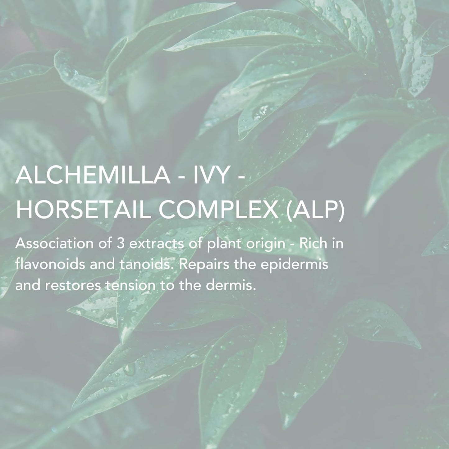 Lierac Phytolastil Stretch Mark Removal Serum - Firms Skin, Fades Cellulite, Diminishes Stretch Marks on Breasts, Abdomen, Hips and Thighs - Hydrating & Firming for All Skin Types - 75ml