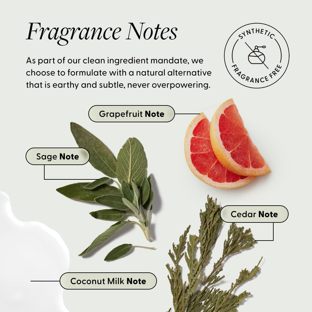 Arey Wait A Sec™ Dry Shampoo | Absorbs Oil & Adds Volume + Reduce the Signs of Aging Hair with Science-Backed Formula to Preserve Pigment | Non Aerosol Tinted Powder | Vegan, Cruelty-Free (0.53 oz)