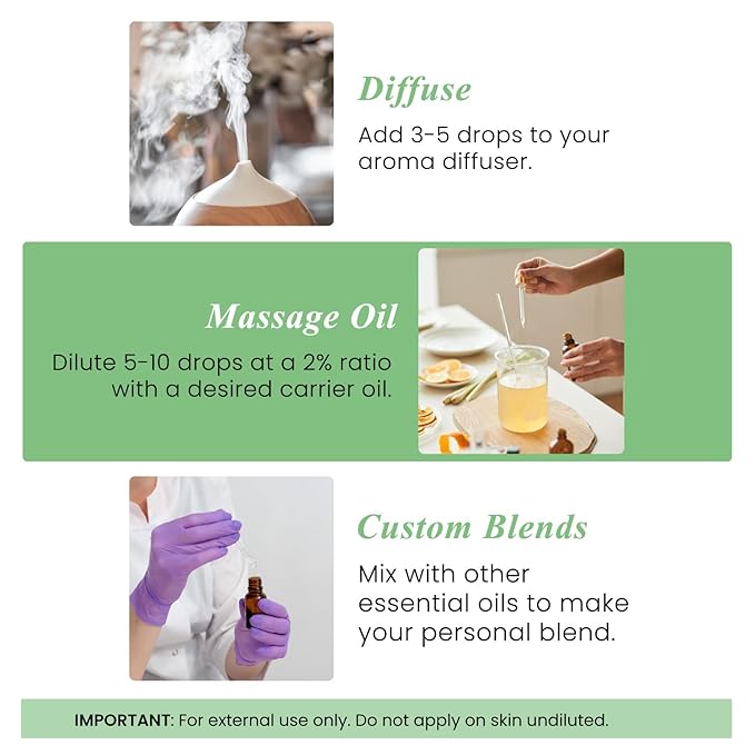 Handcraft Blends Basil Essential Oil - Huge 4 Fl Oz - 100% Pure and Natural - Premium Grade Essential Oil for Diffuser and Aromatherapy